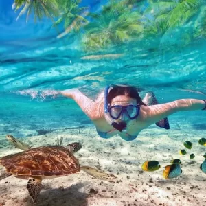 Cancun Snorkeling Tour - Some all inclusive features