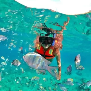 Cancun Snorkeling Tour - Some all inclusive features