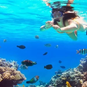 Cancun Snorkeling Tour - Some all inclusive features