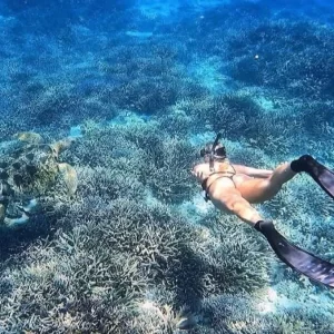 Cancun Snorkeling Tour - Some all inclusive features